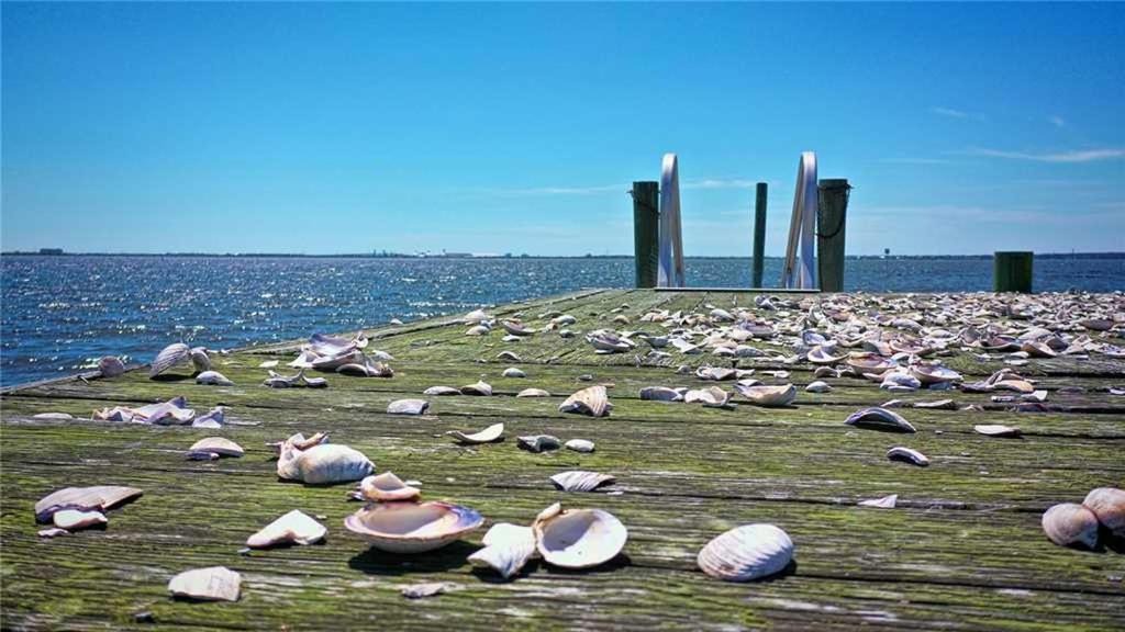 Photo of Others in Morehead City