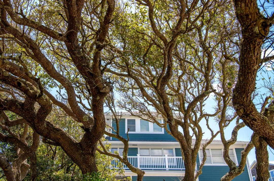 Photo of Others in Pine Knoll Shores
