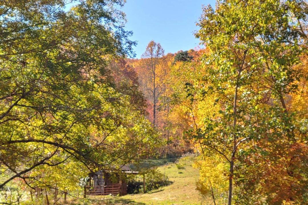 Photo of Others in Saluda