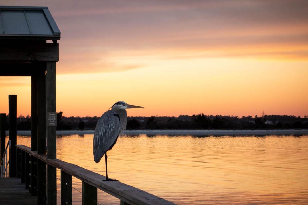Photo of Others in Wrightsville Beach