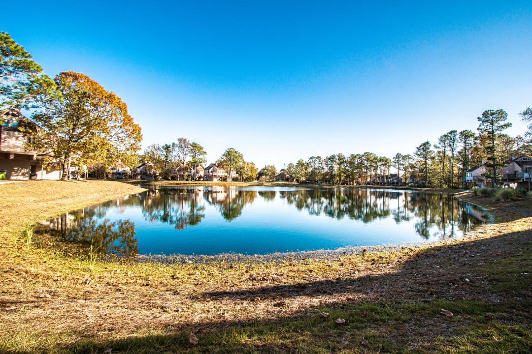 Photo of Others in New Bern
