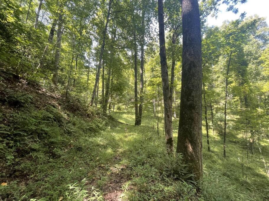 Photo of Others in Bryson City
