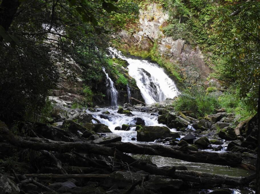 Photo of Others in Bryson City