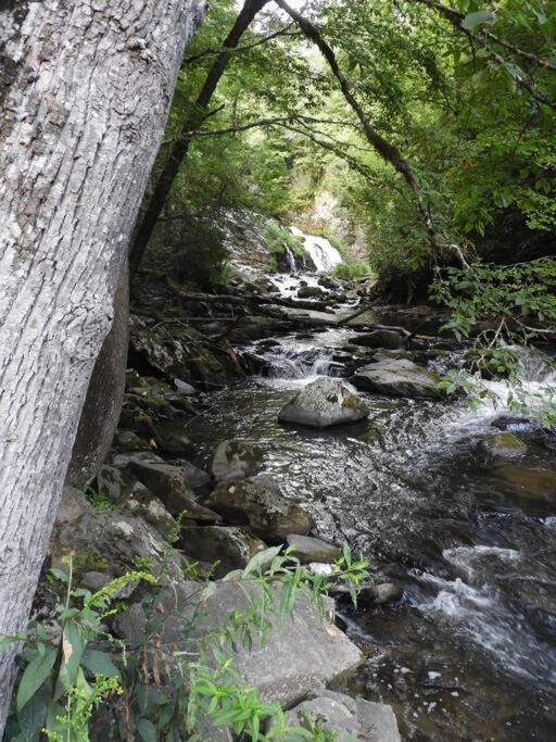 Photo of Others in Bryson City