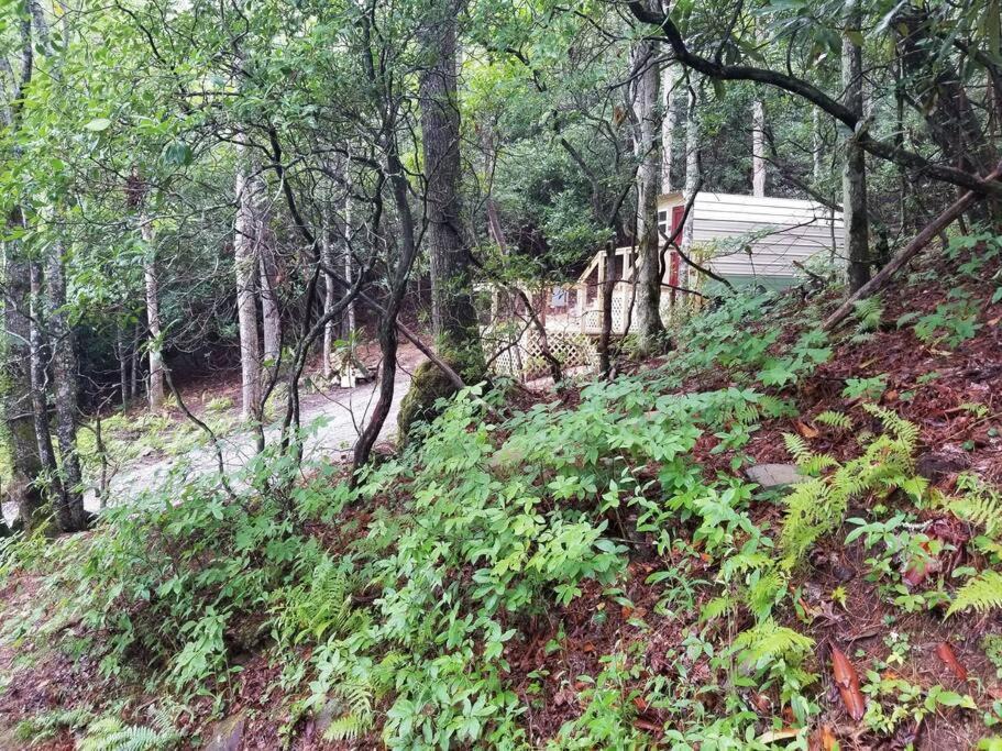 Photo of Others in Bryson City
