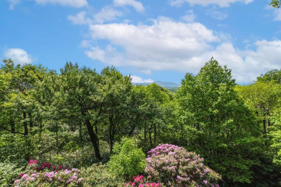 Photo of Others in Blowing Rock
