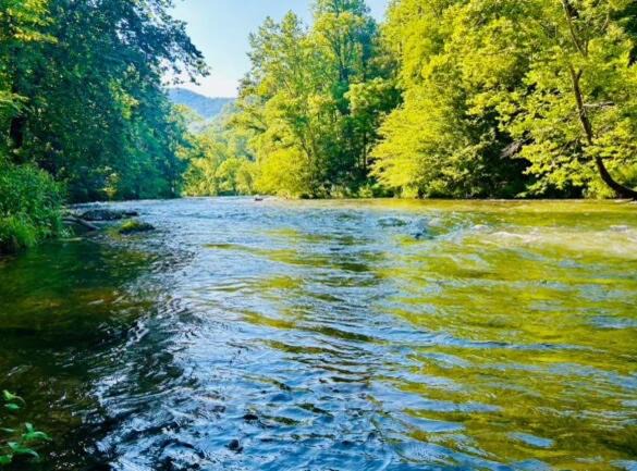 Photo of Others in Bryson City