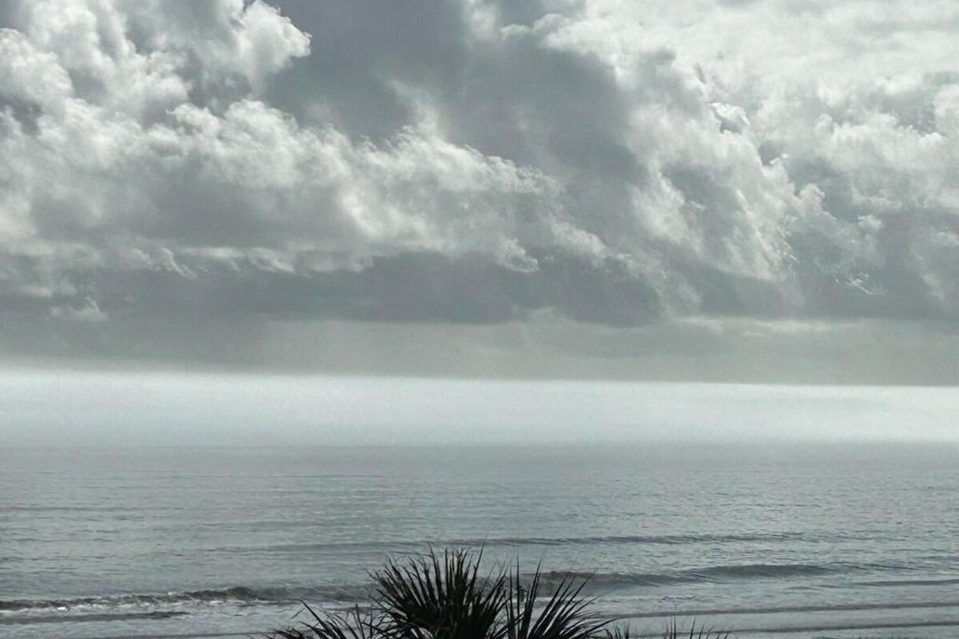 Photo of Others in Isle of Palms