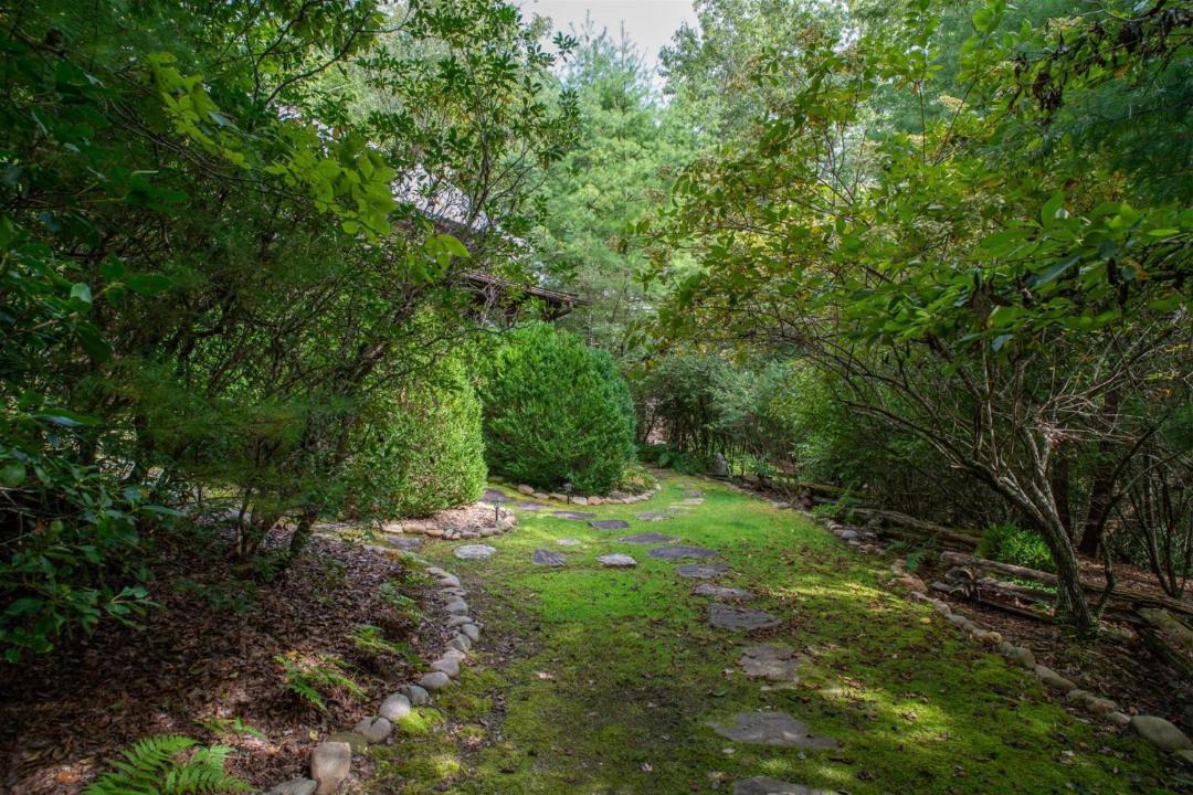 Photo of Others in Pisgah Forest
