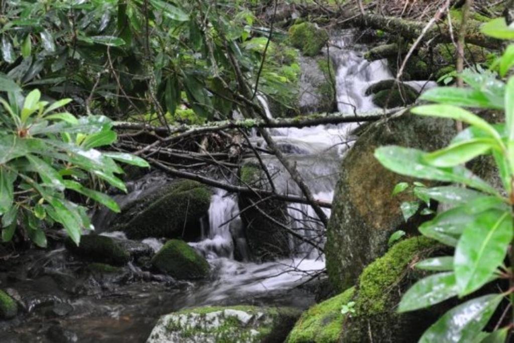 Photo of Others in Bryson City