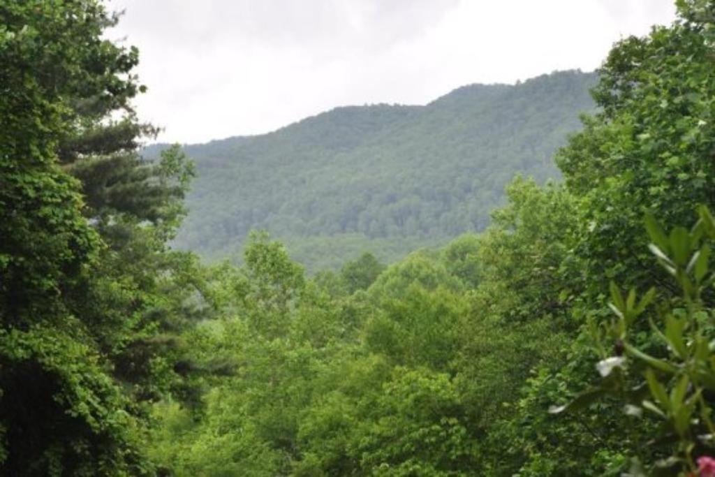 Photo of Others in Bryson City