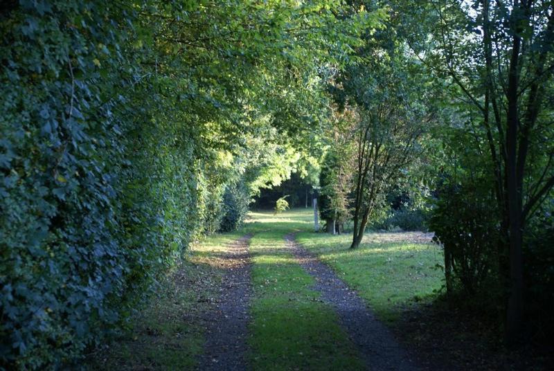 Photo of Others in Ewhurst Green
