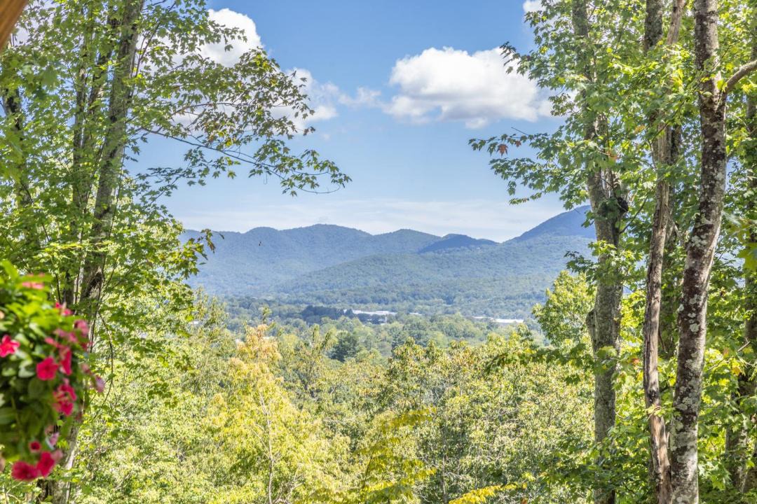 Photo of Others in Swannanoa