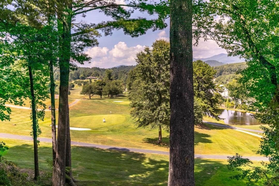 Photo of Others in Spruce Pine