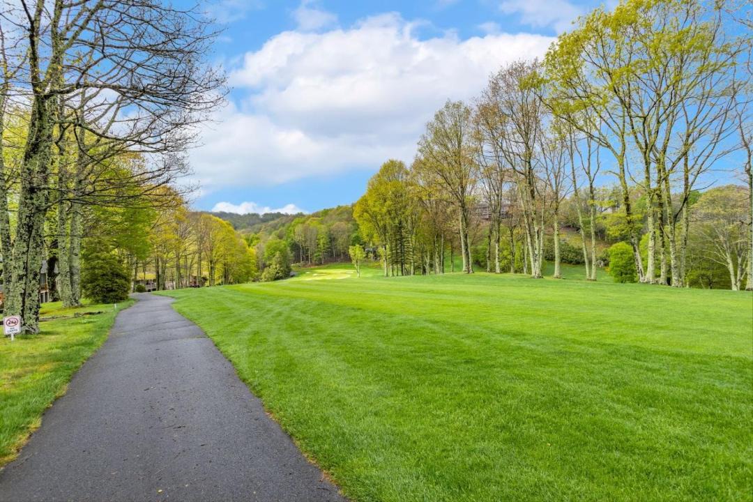 Photo of Others in Beech Mountain