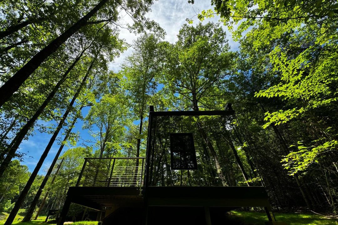 Photo of Others in Balsam Grove