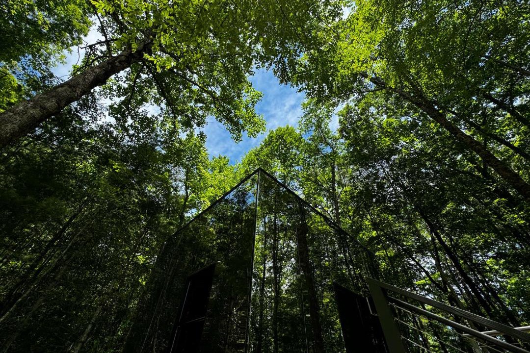 Photo of Others in Balsam Grove