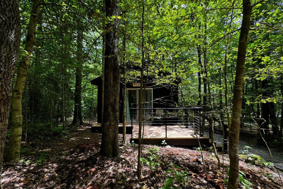 Photo of Others in Balsam Grove