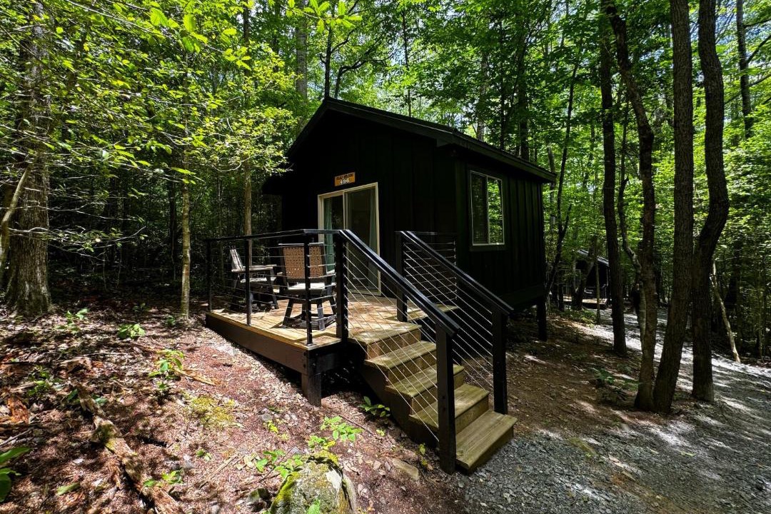 Photo of Others in Balsam Grove