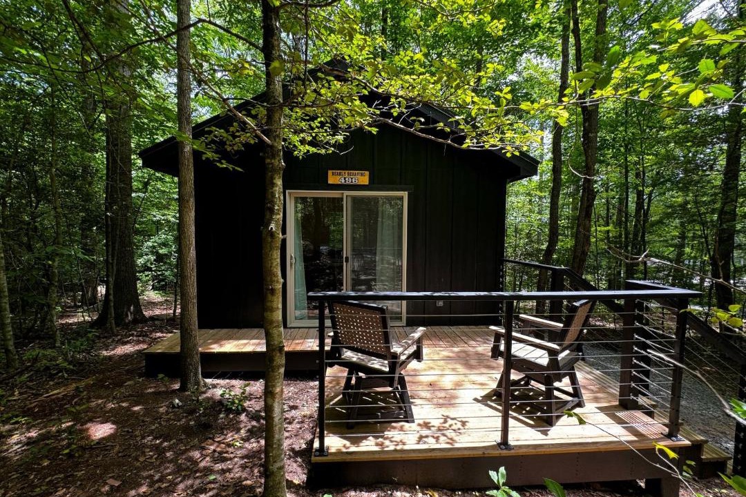 Photo of Others in Balsam Grove