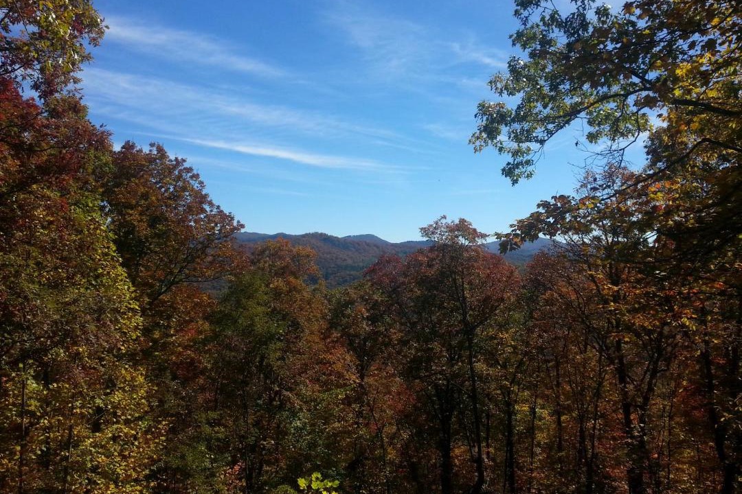 Photo of Others in Cullowhee