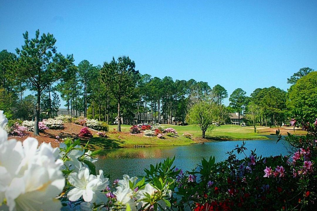 Photo of Outdoor in Calabash