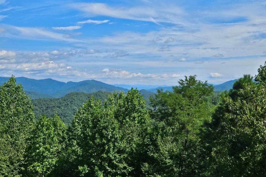 Photo of Others in Bryson City