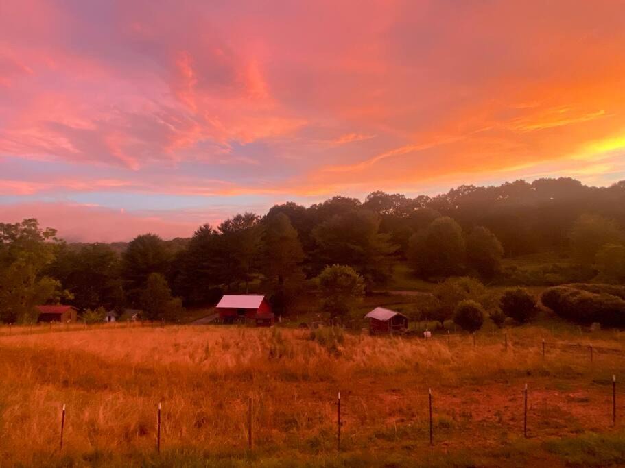 Photo of Others in Candler
