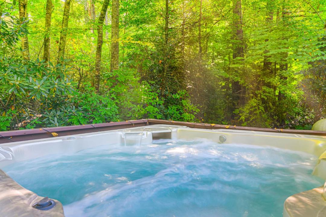 Photo of Others in Maggie Valley