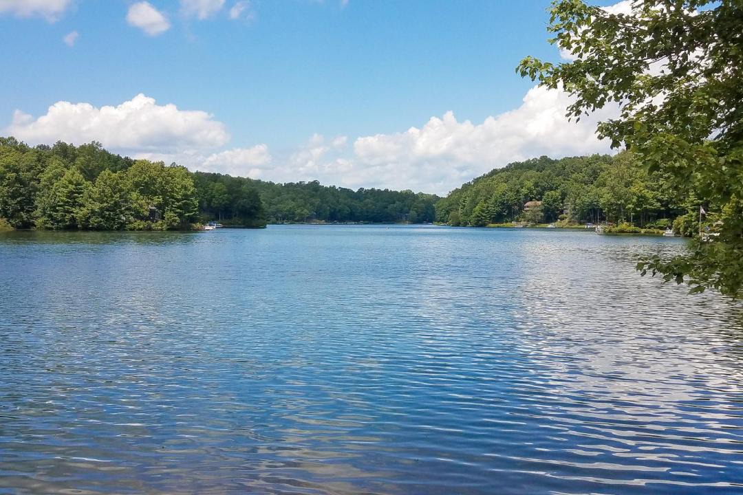 Photo of Others in Brevard