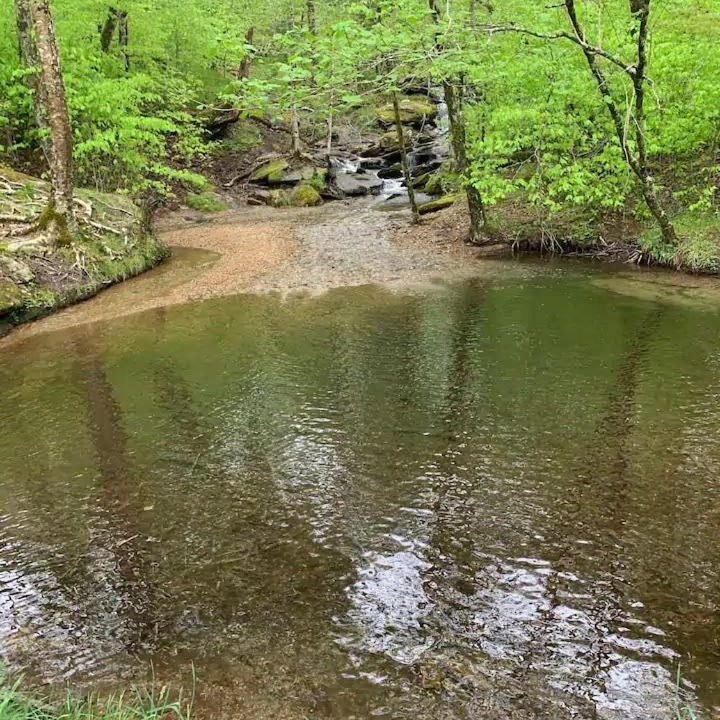 Photo of Others in Beech Mountain