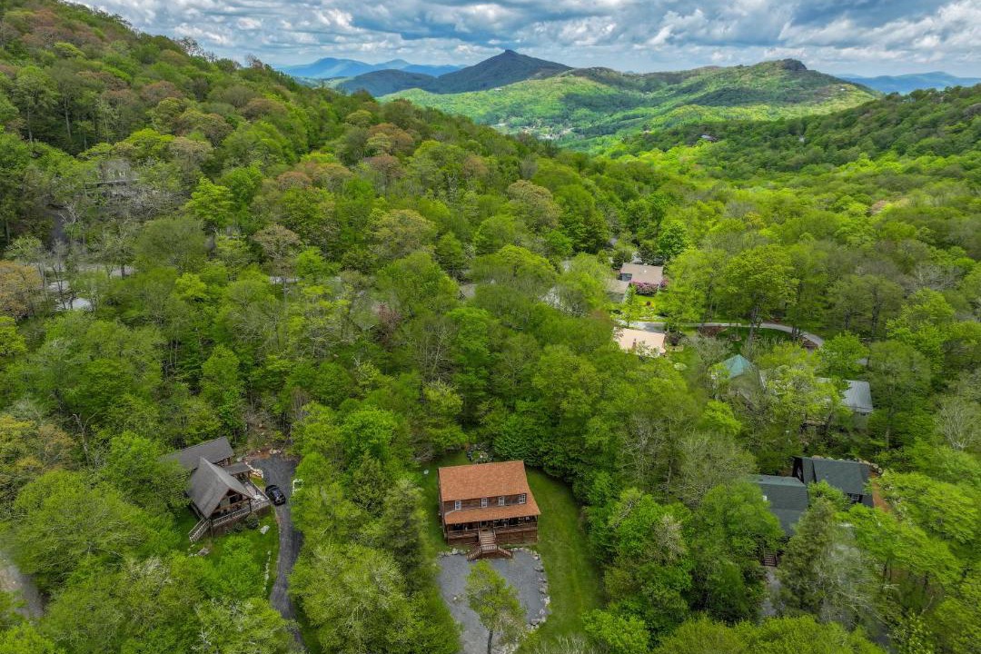 Photo of Others in Sugar Mountain
