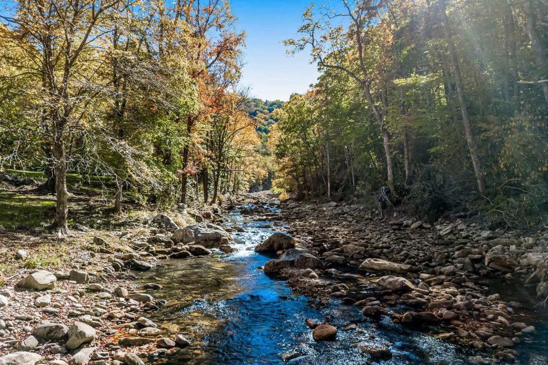 Photo of Outdoor in Canton
