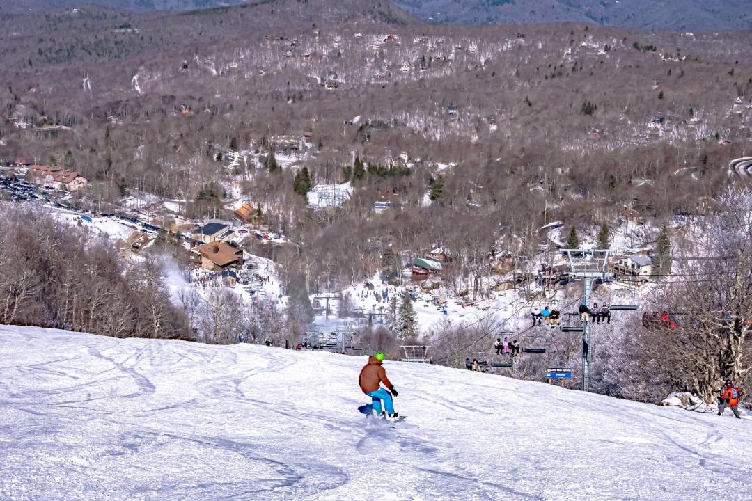 Photo of Others in Newland