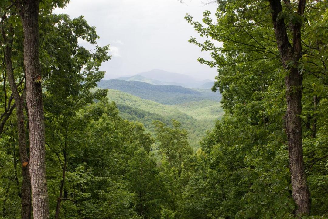 Photo of Others in Black Mountain
