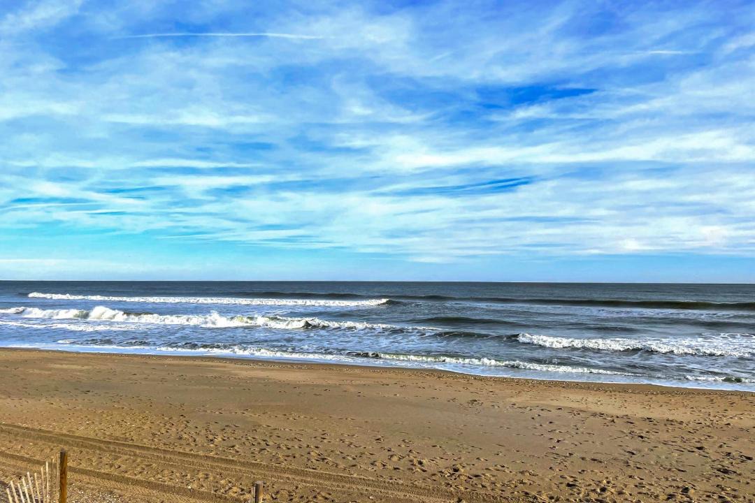 Photo of Others in Wilmington