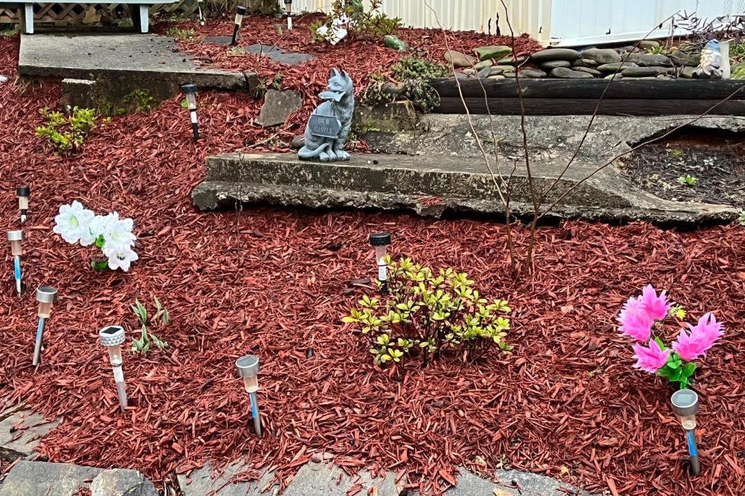 Photo of Others in Lackey Hill