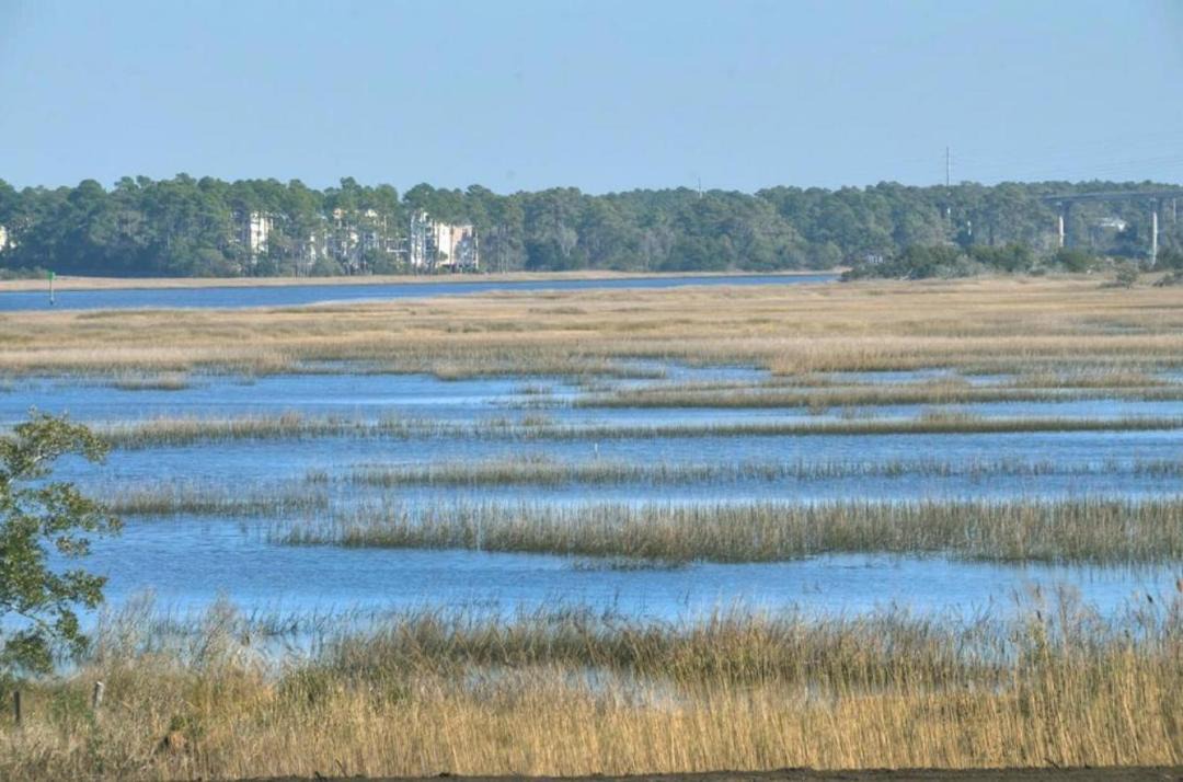 Photo of Outdoor in Tranquil Harbour
