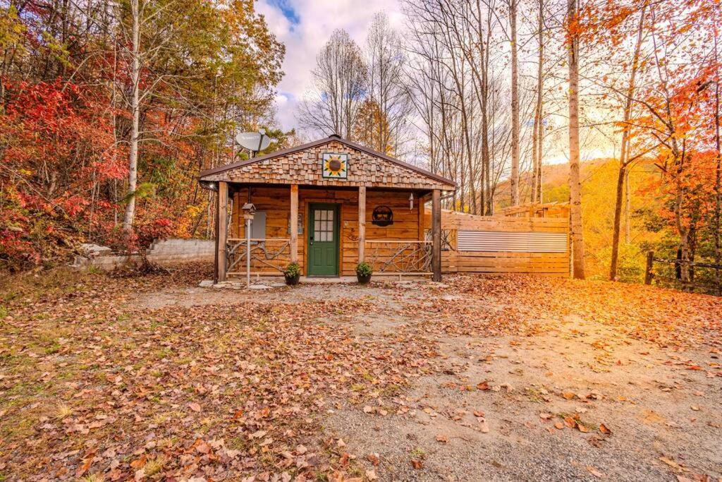 Photo of Buildings in Bryson City
