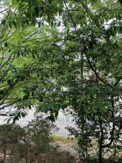 Photo of Outdoor in Southwest Raleigh