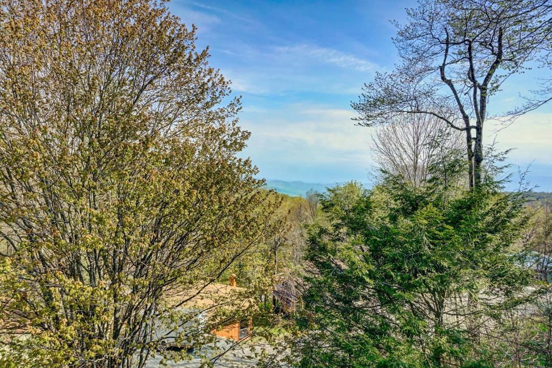 Photo of Others in Beech Mountain