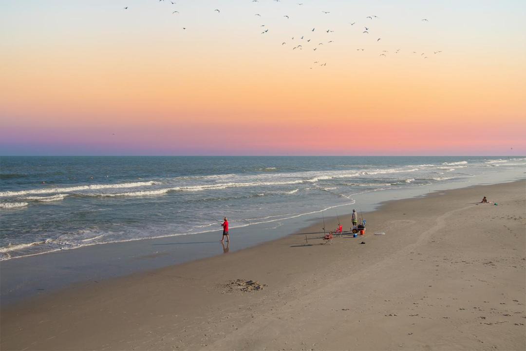 Photo of Others in Wilmington Beach
