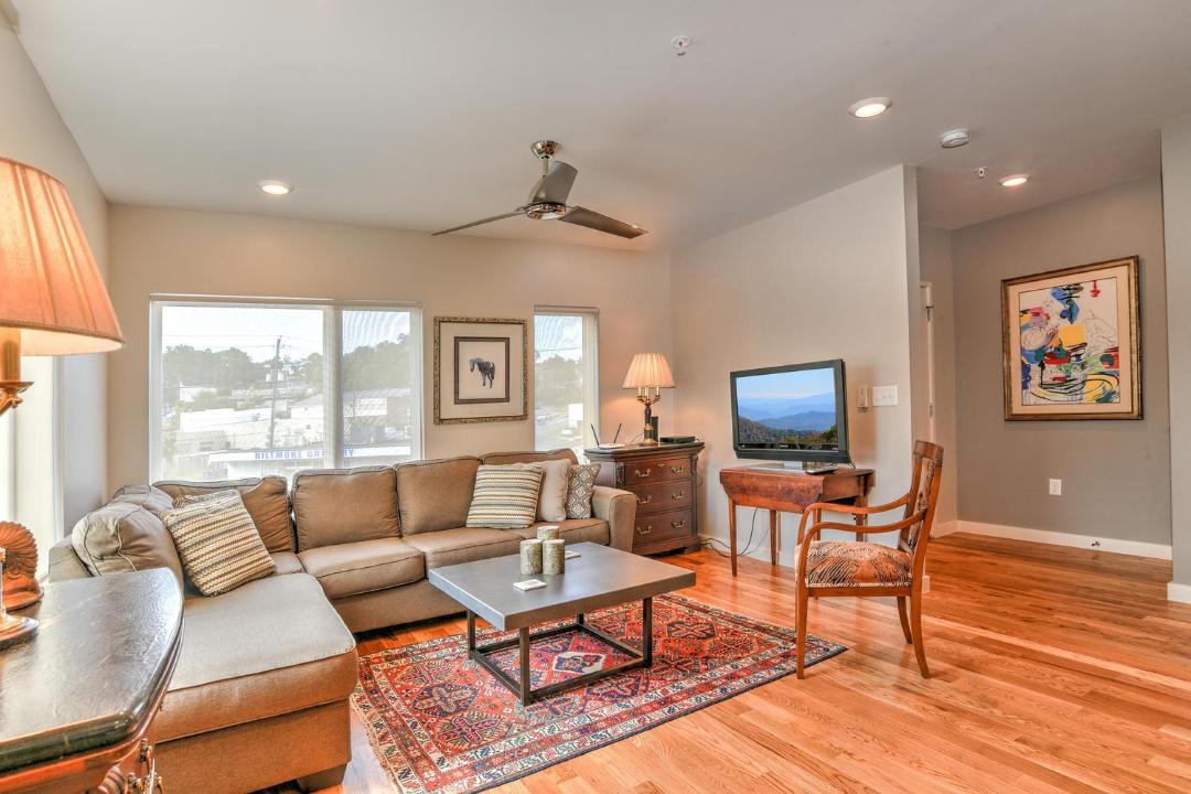 Photo of Livingroom in Asheville