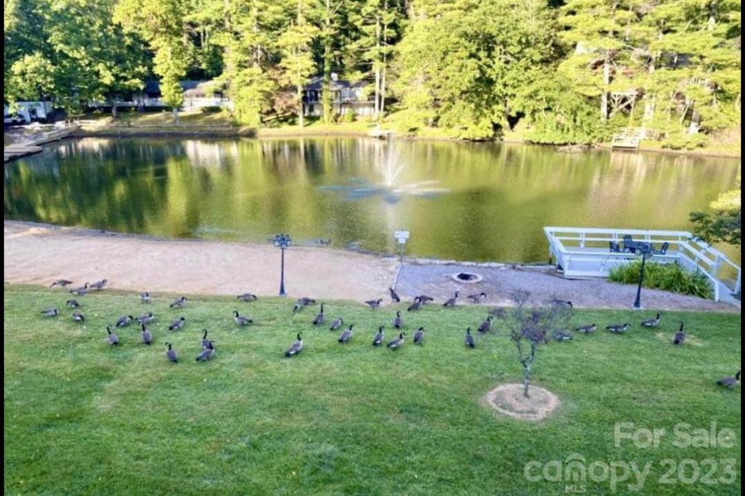 Photo of Others in Flat Rock