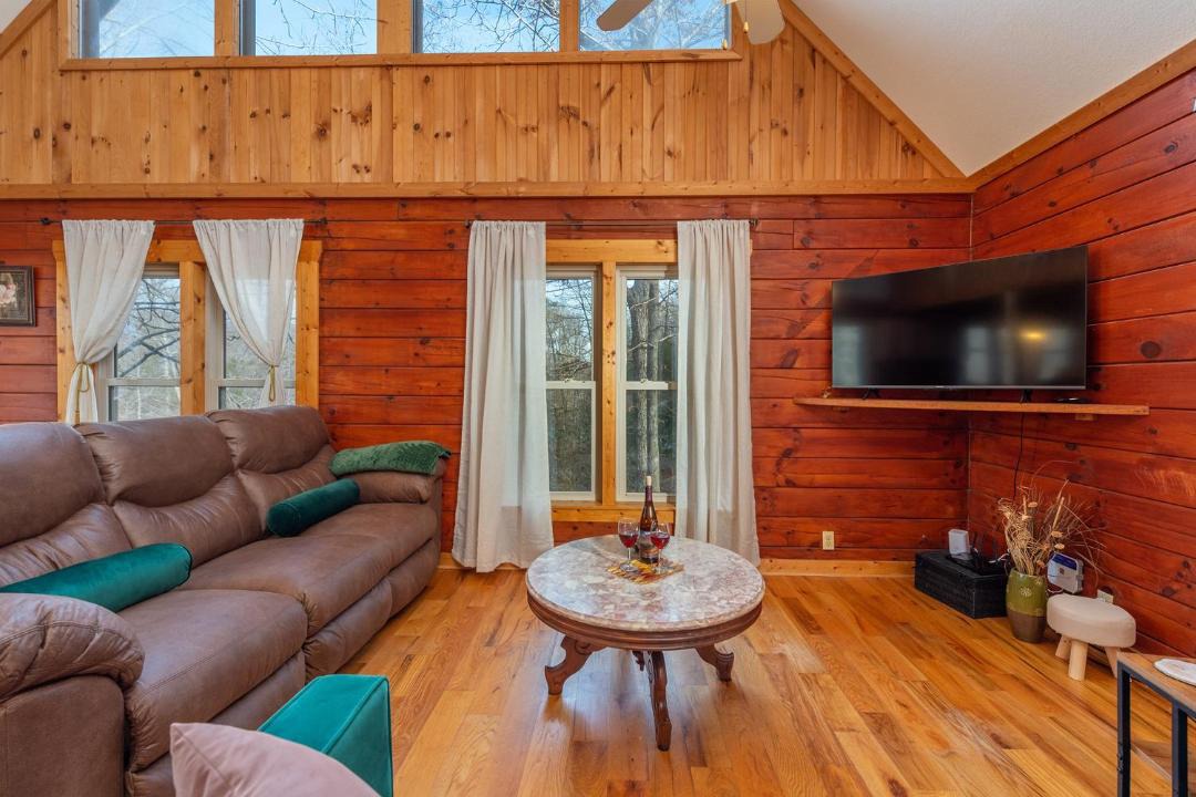 Photo of Livingroom in Vein Mountain