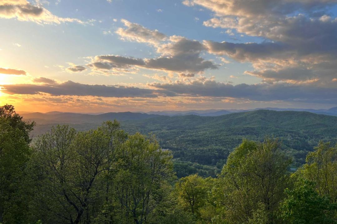 Photo of Others in Brasstown