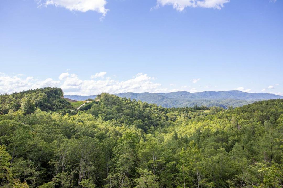 Photo of Others in Deep Gap