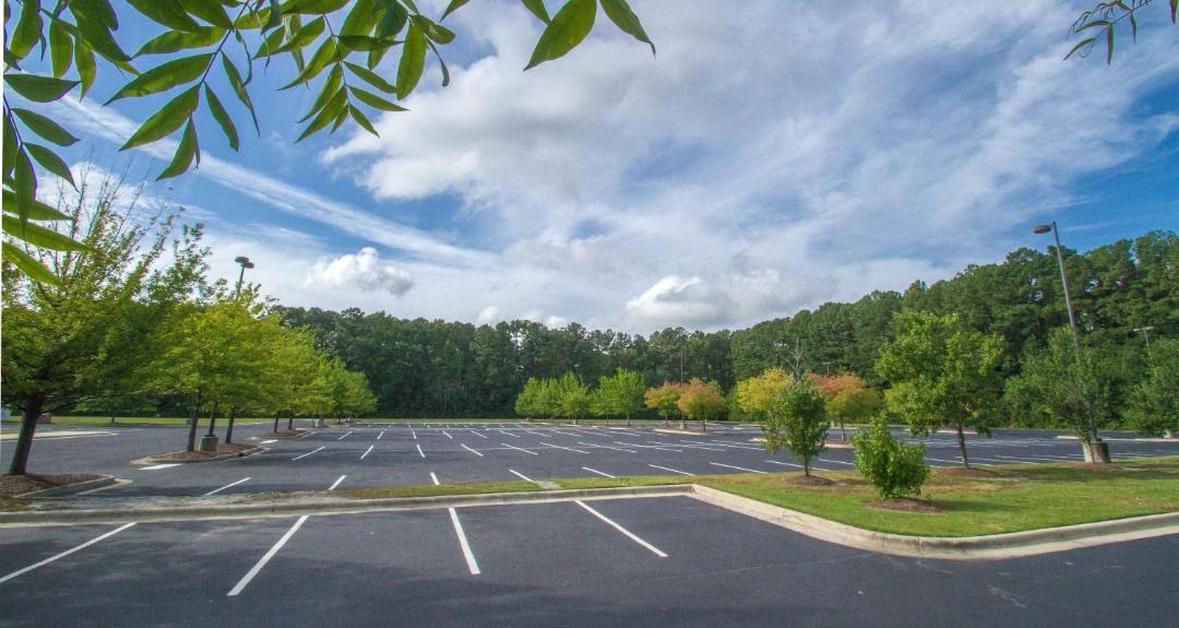 Photo of Others in Greenville