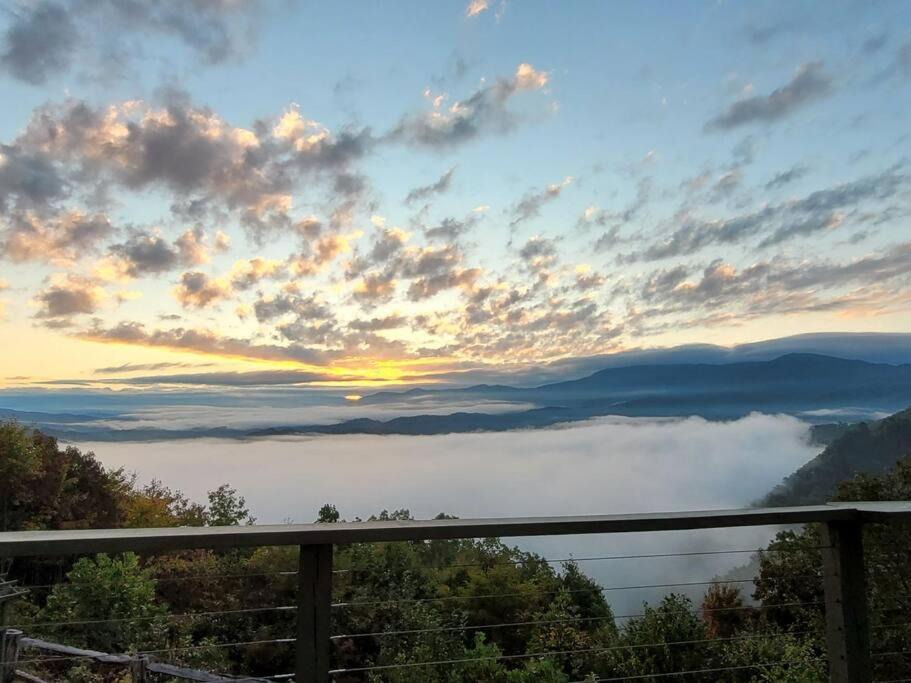 Photo of Outdoor in Bryson City