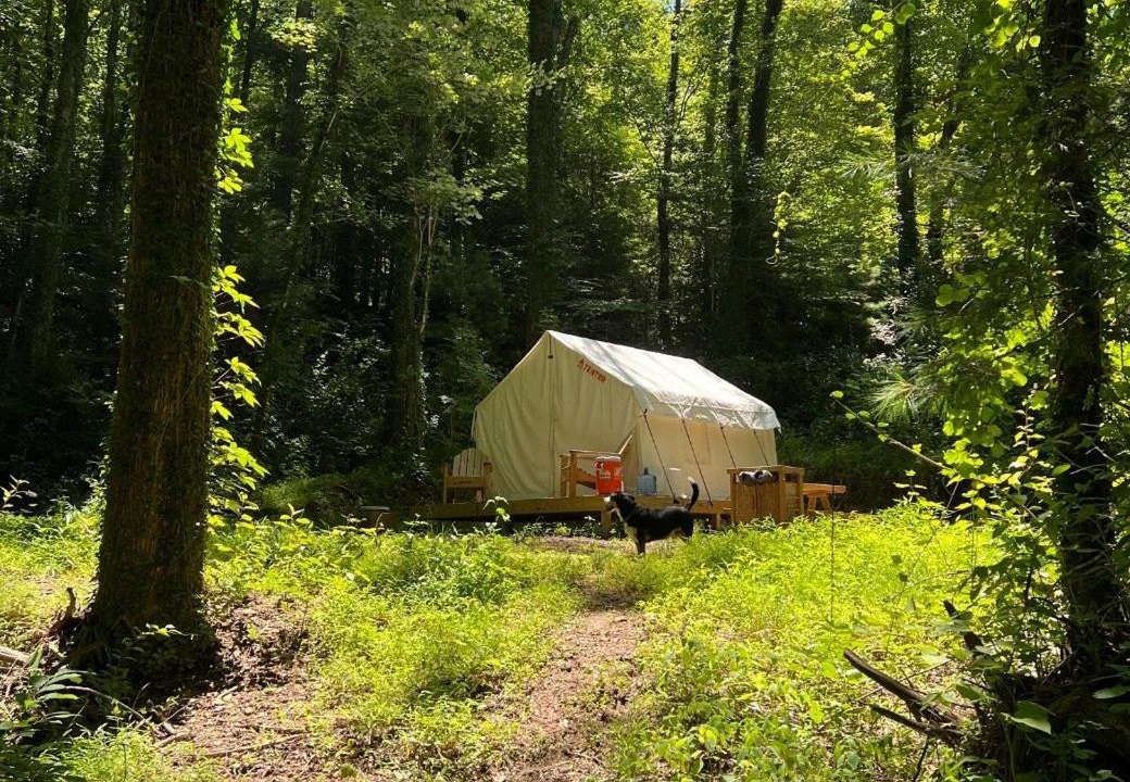 Photo of Others in Swannanoa